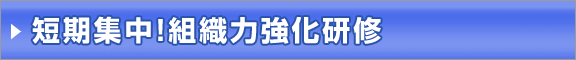 短期集中！組織力強化研修